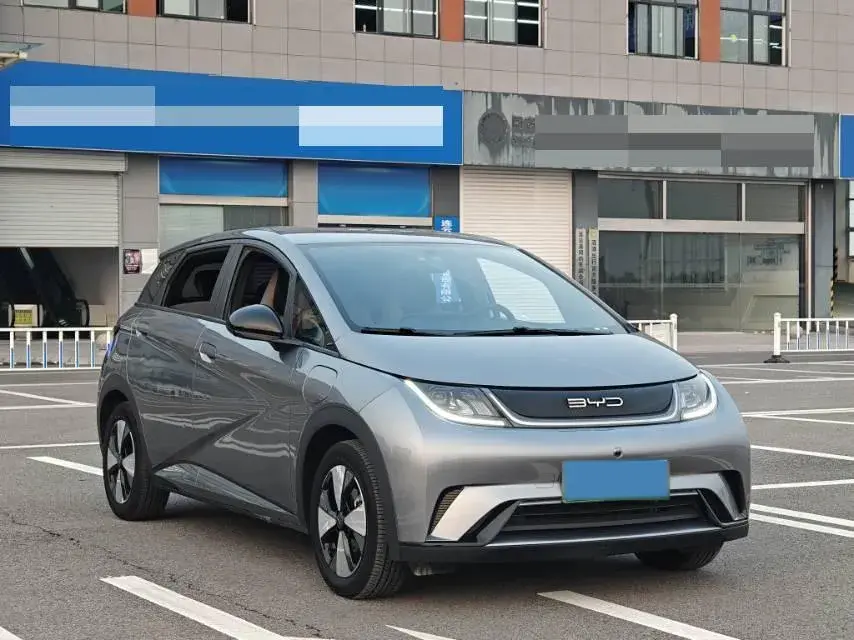 2023 BYD DOLPHIN thumbnail 3