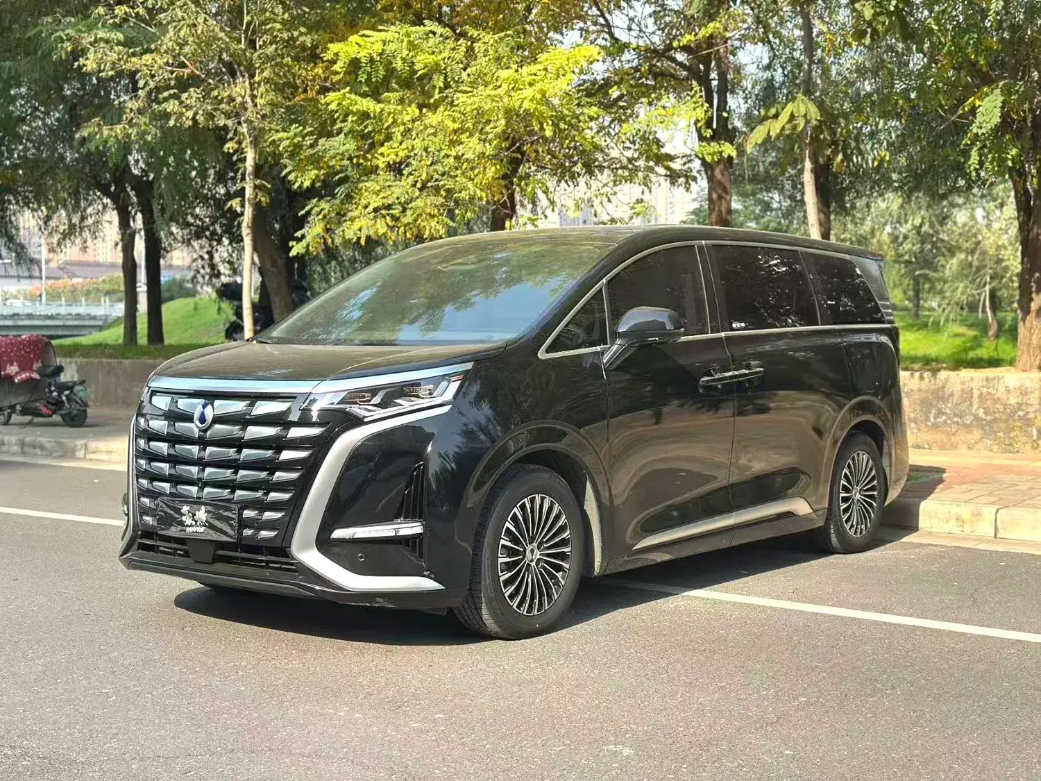 2022 DENZA D9 view 1