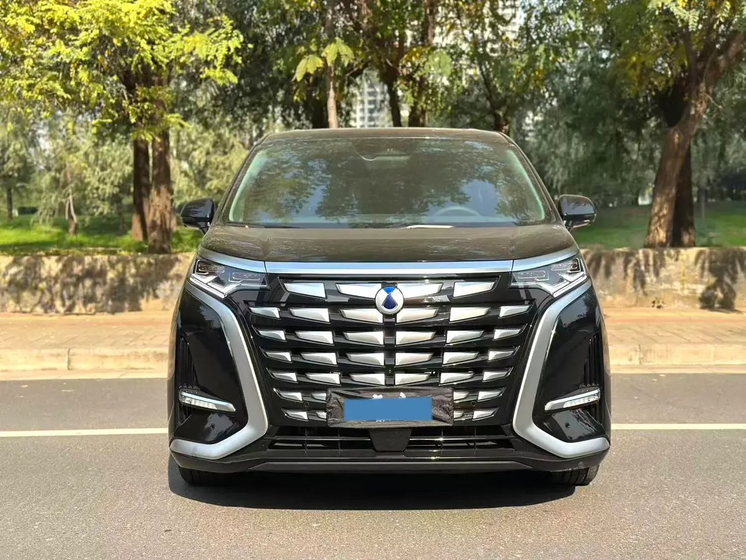 2022 DENZA D9 thumbnail 2