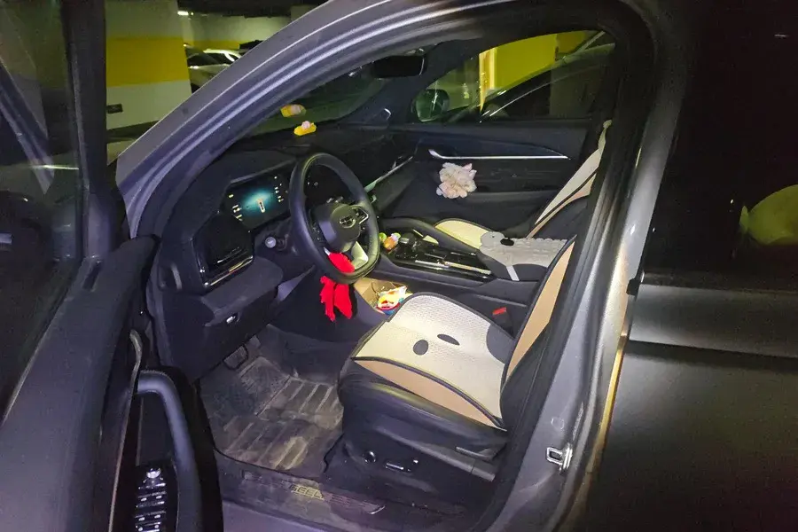 2024 GEELY MONJARO thumbnail 4