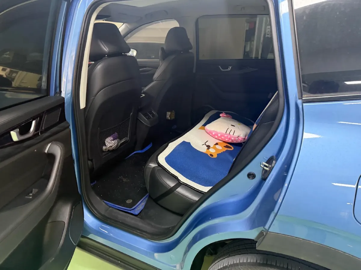 2021 Weltmeister W6 BEV 66.231KWH,autocango,china used car exporter,china ev exporter,chinese used car exporter,chinese used ev exporter