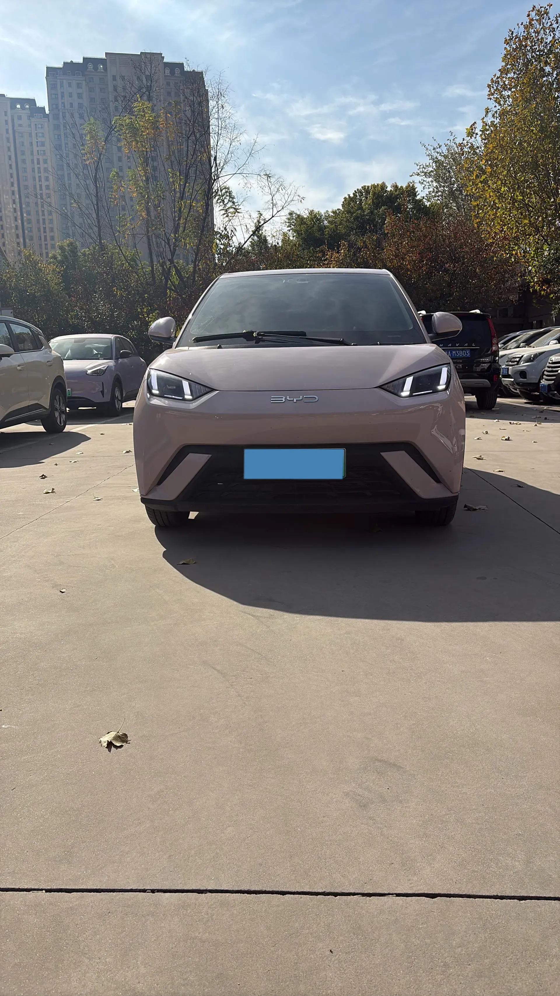 2024 BYD SEAGULL thumbnail 2