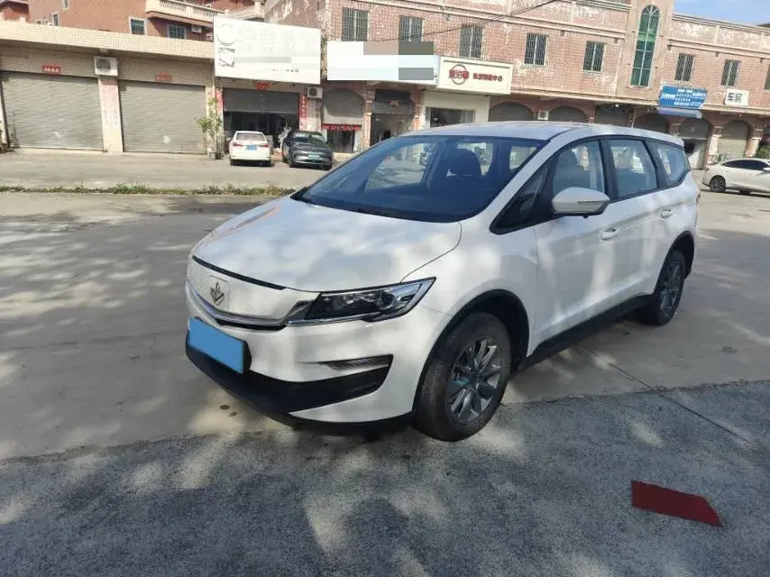 2021 Livan Maple 80v BEV 53KWH