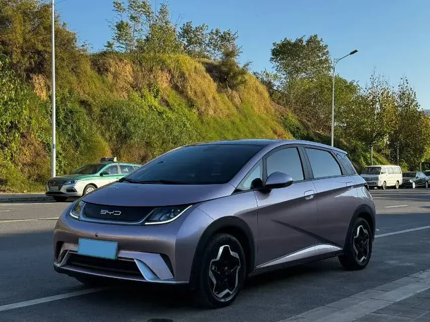 2021 BYD DOLPHIN view 1