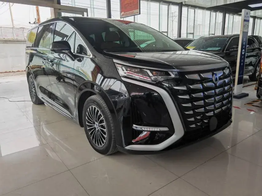 2022 DENZA D9 thumbnail 3