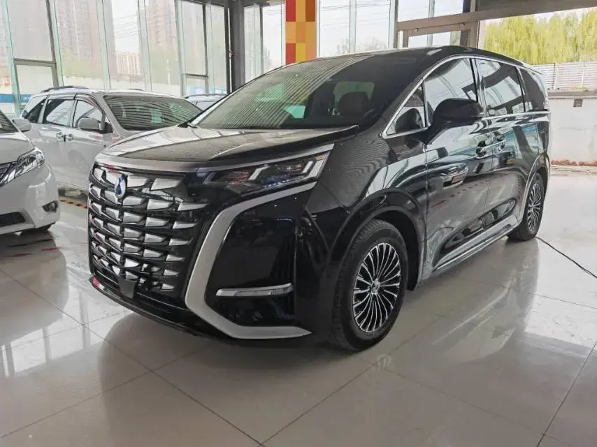 2022 DENZA D9 view 1