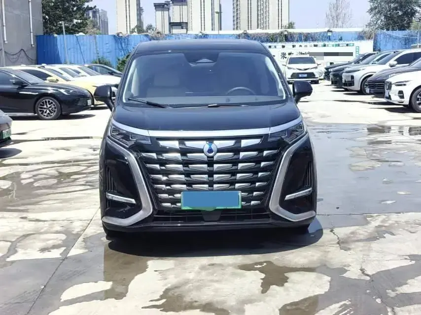 2023 DENZA D9 thumbnail 2