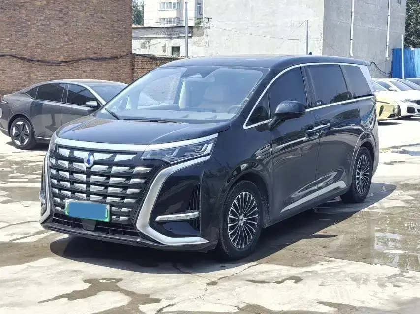 2023 DENZA D9 view 1