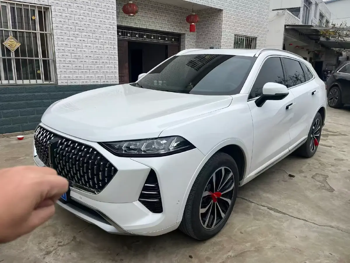 2021 WEY Mocha 2.0T 214HP L4 9DCT