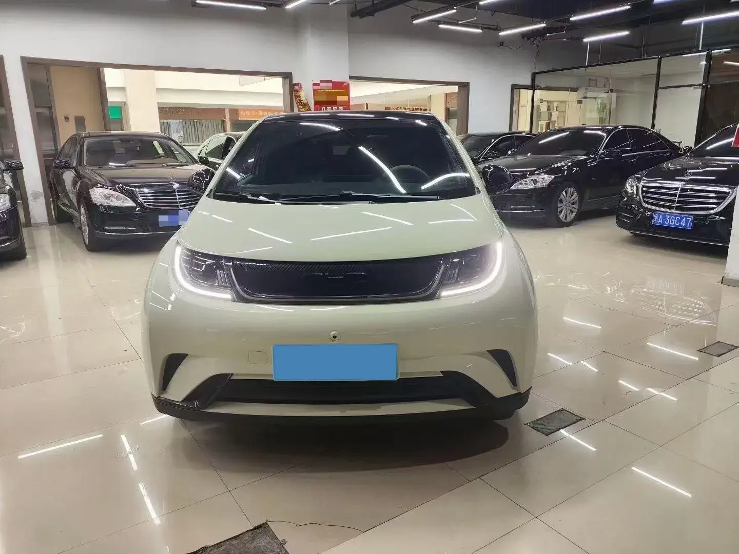 2023 BYD DOLPHIN thumbnail 2