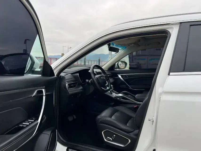 2020 GEELY AZKARRA thumbnail 3