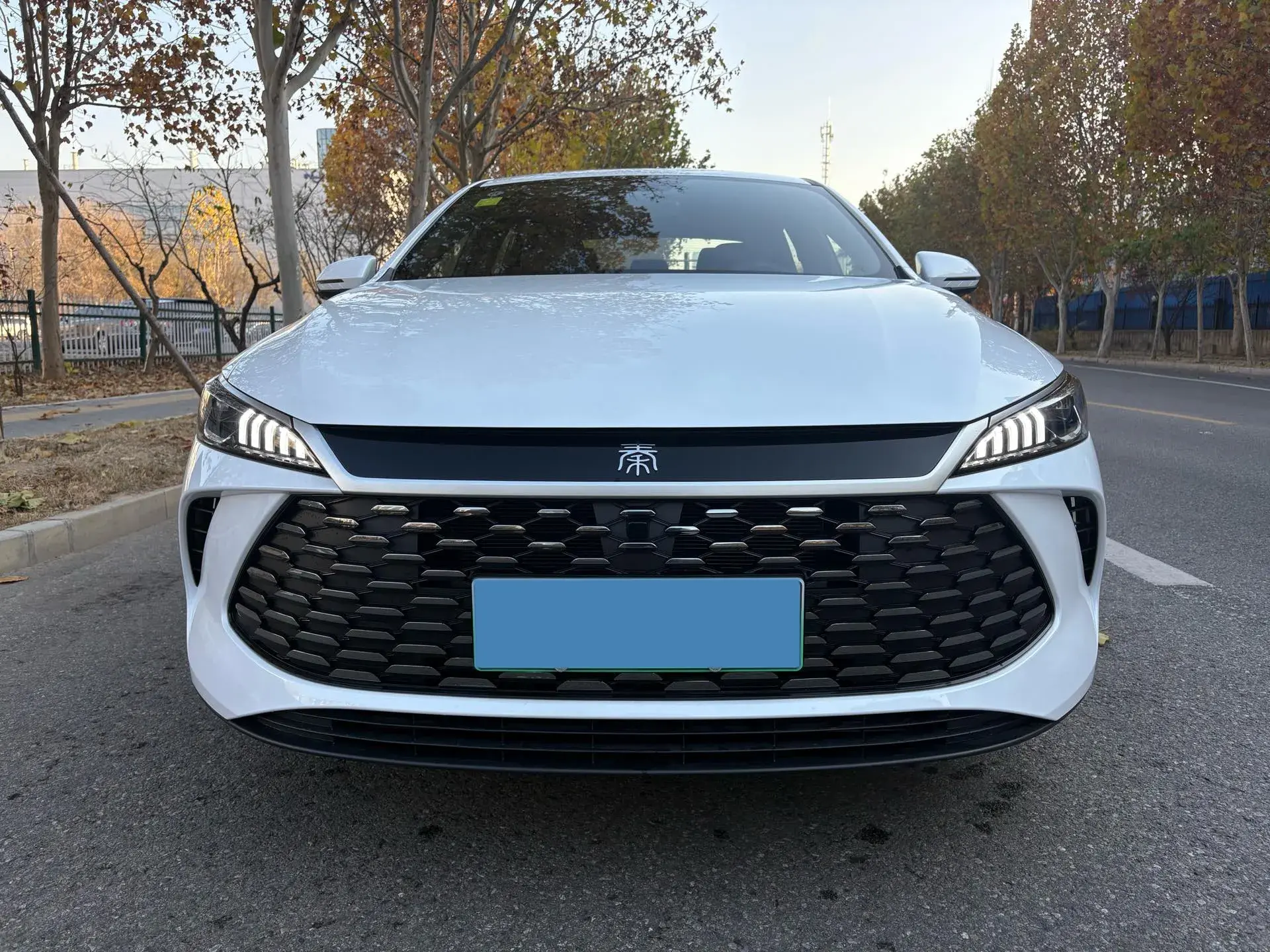 2025 BYD QIN thumbnail 2