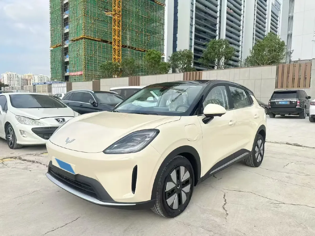 2025 WuLing BinGuo S BEV,autocango,china used car exporter,china ev exporter,chinese used car exporter,chinese used ev exporter