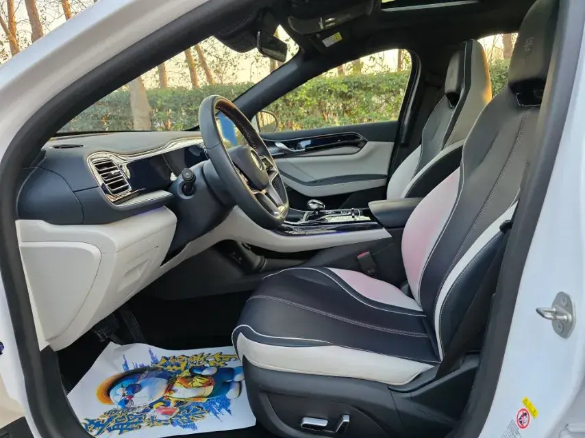 2021 BYD QIN thumbnail 2