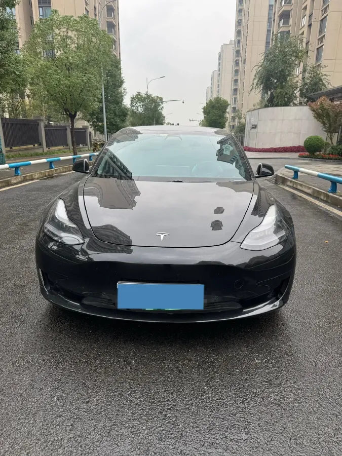 2021 Tesla Model 3 BEV 55KWH,autocango,china used car exporter,china ev exporter,chinese used car exporter,chinese used ev exporter