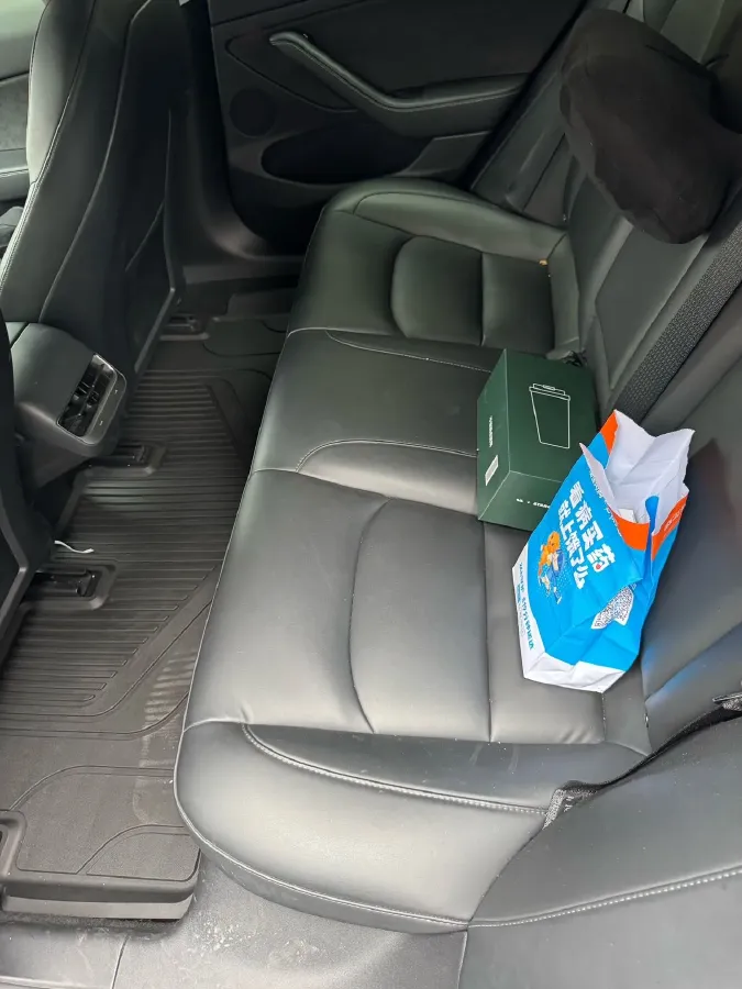 2021 Tesla Model 3 BEV 55KWH,autocango,china used car exporter,china ev exporter,chinese used car exporter,chinese used ev exporter