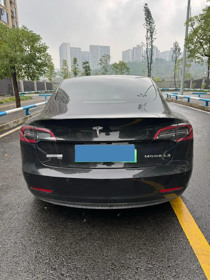 2021 Tesla Model 3 BEV 55KWH,autocango,china used car exporter,china ev exporter,chinese used car exporter,chinese used ev exporter