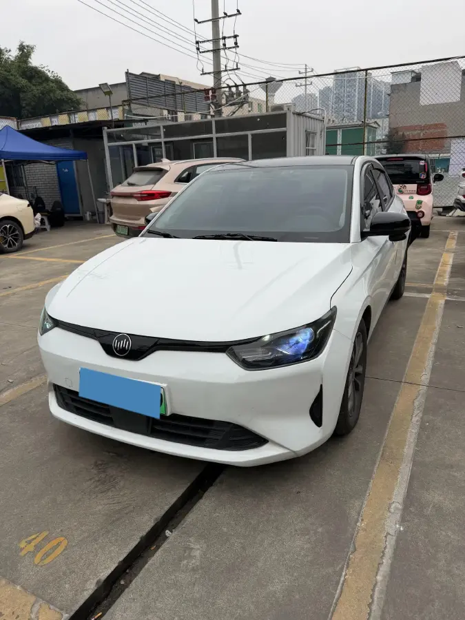 2021 Weltmeister E.5 BEV 49.92KWH