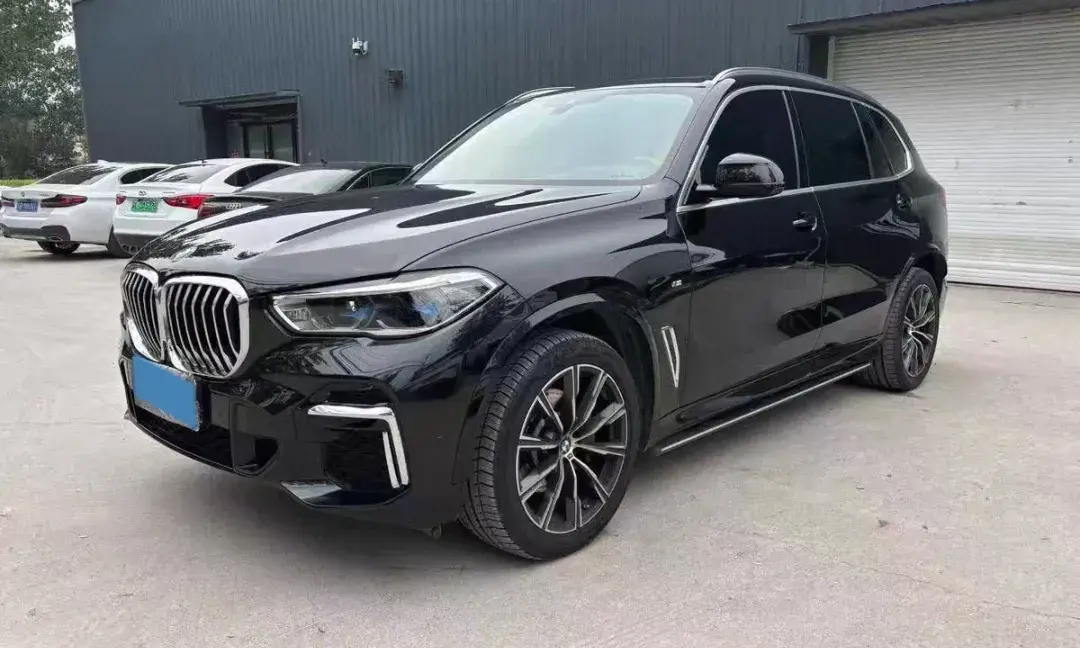 2022 BMW X5 view 1