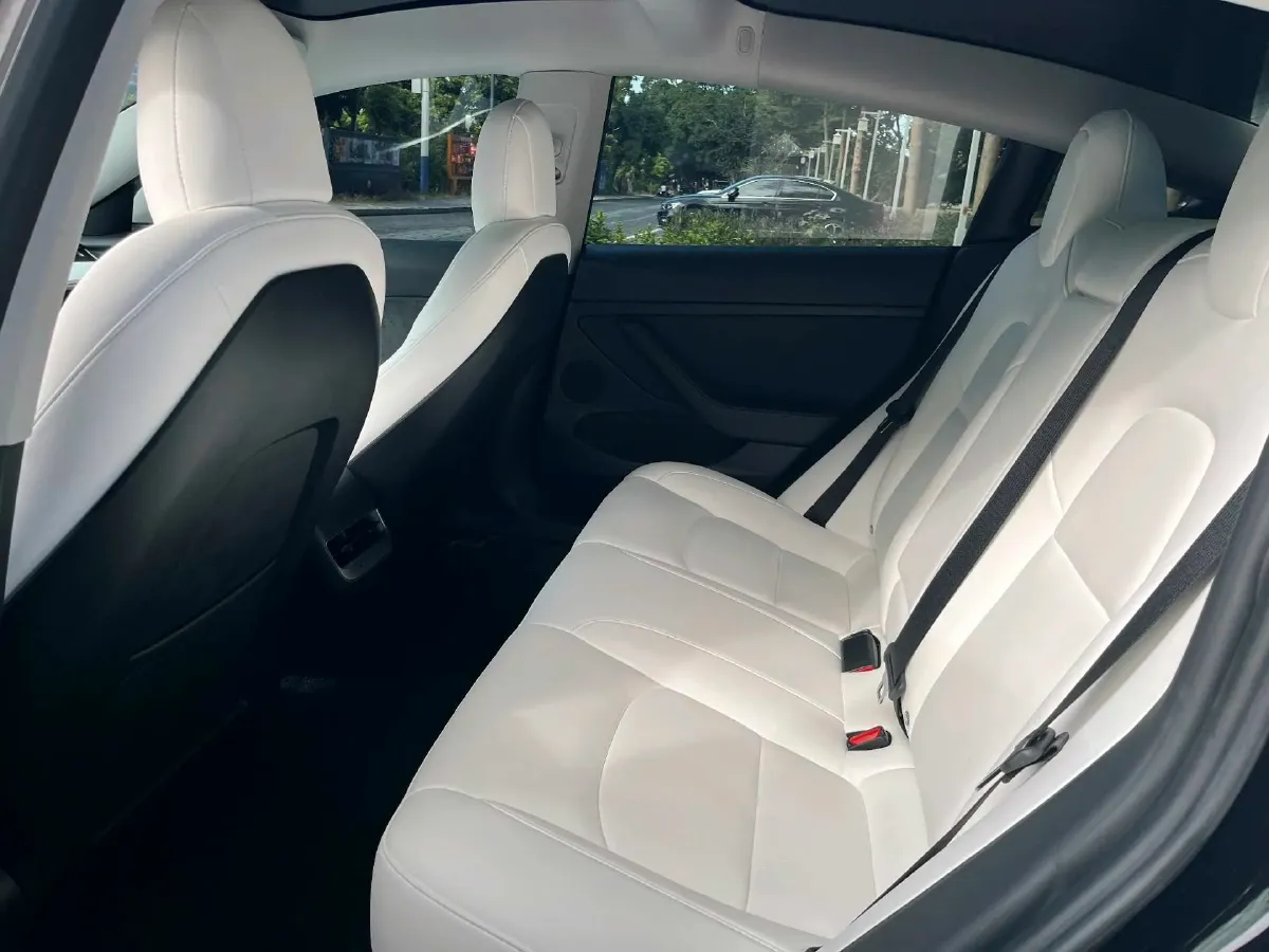 2021 Tesla Model 3 BEV 76.8KWH,autocango,china used car exporter,china ev exporter,chinese used car exporter,chinese used ev exporter