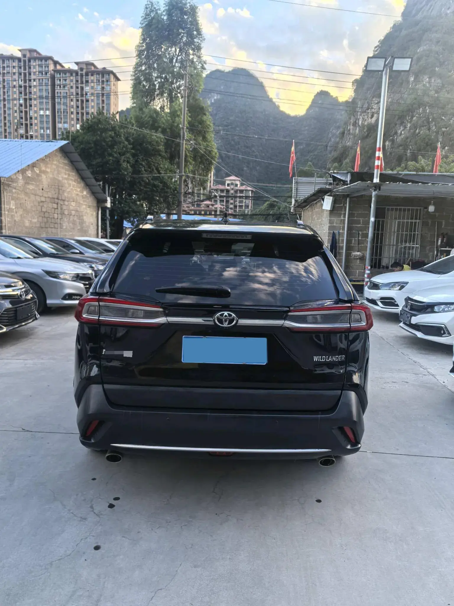 2020 TOYOTA WILDLANDER thumbnail 4