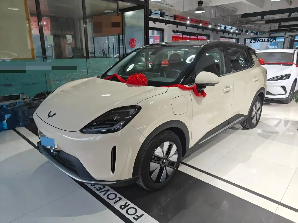 2025 WuLing BinGuo S BEV