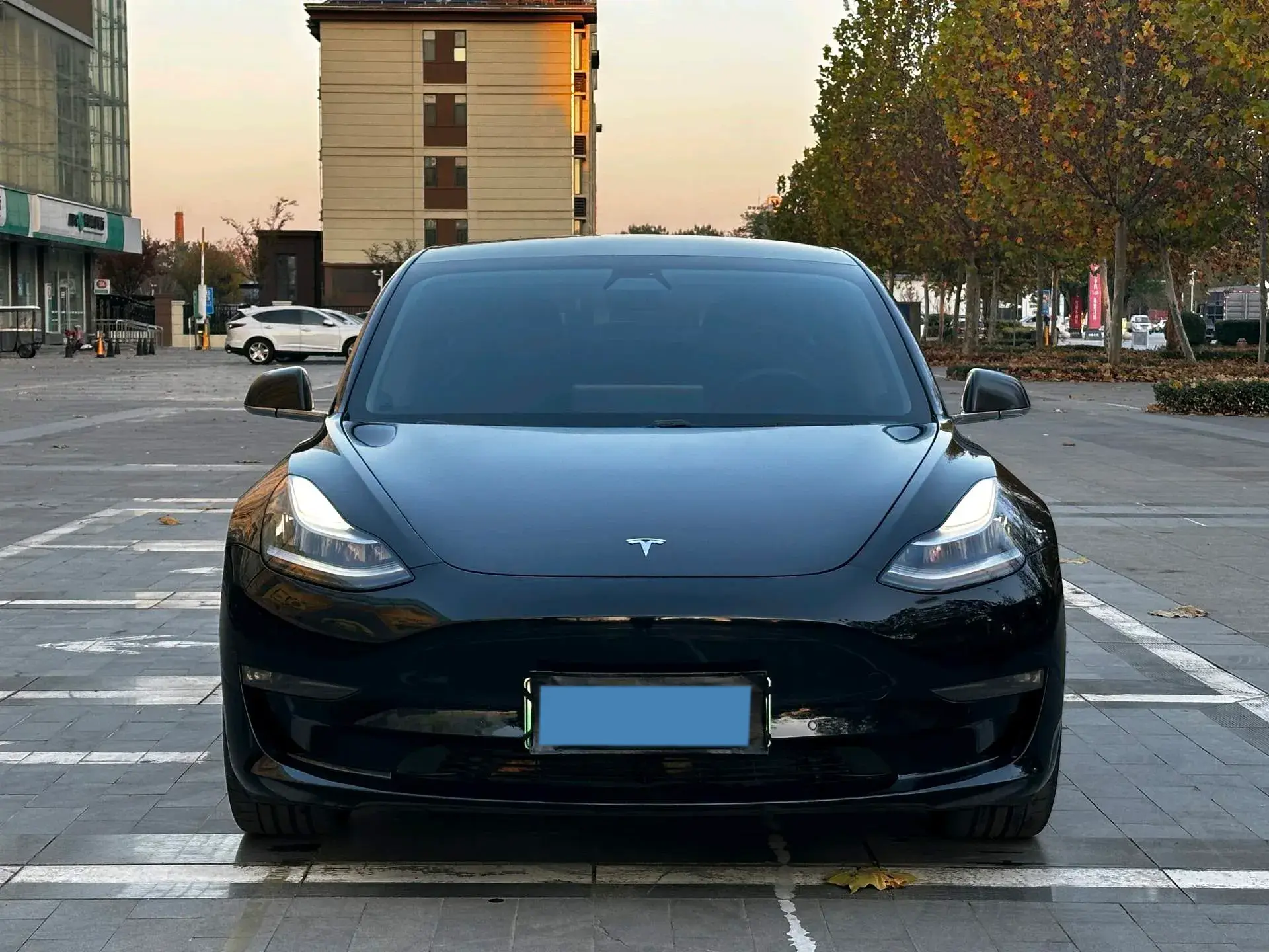 2019 TESLA MODEL thumbnail 2