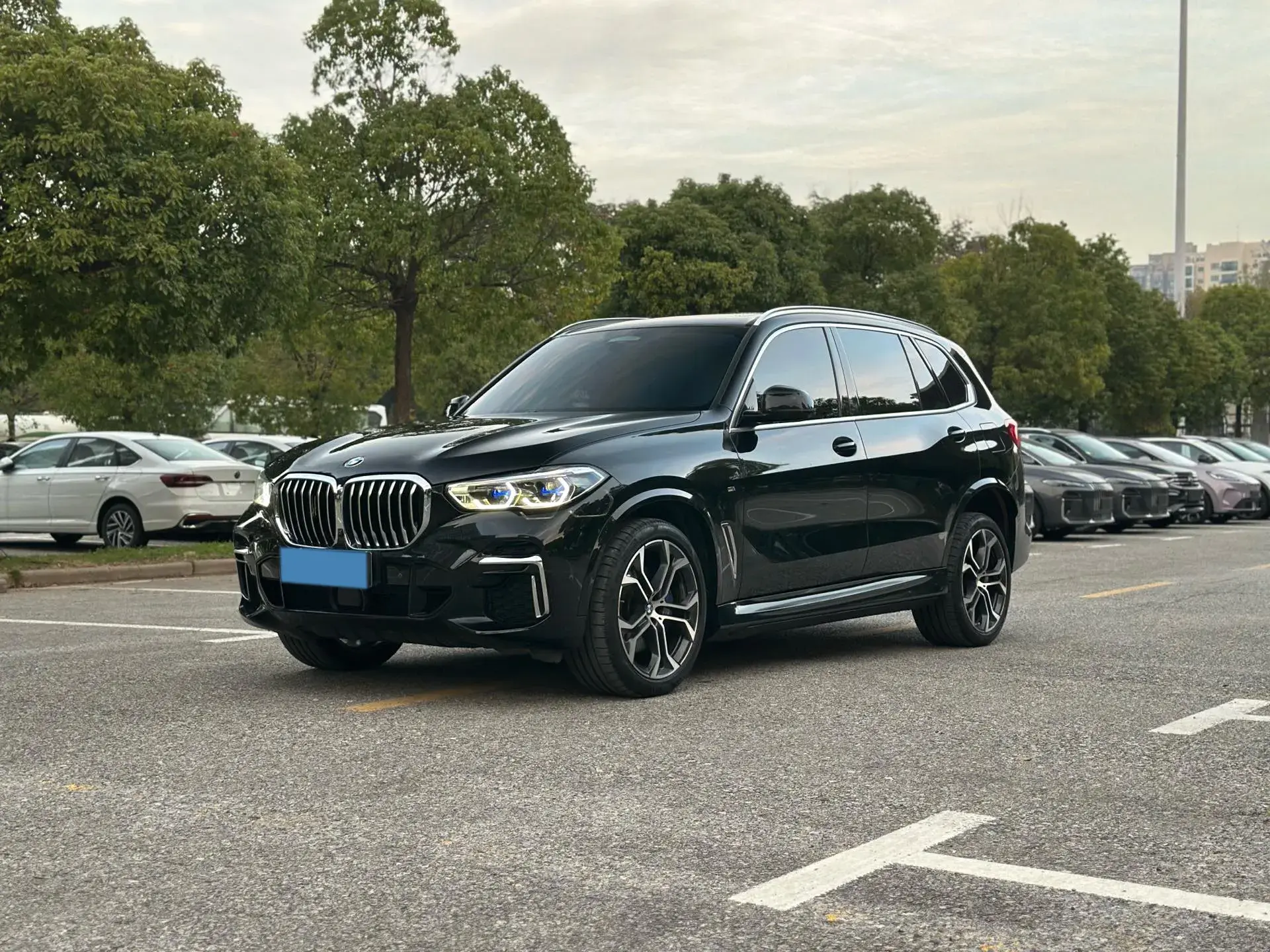 2022 BMW X5 view 1