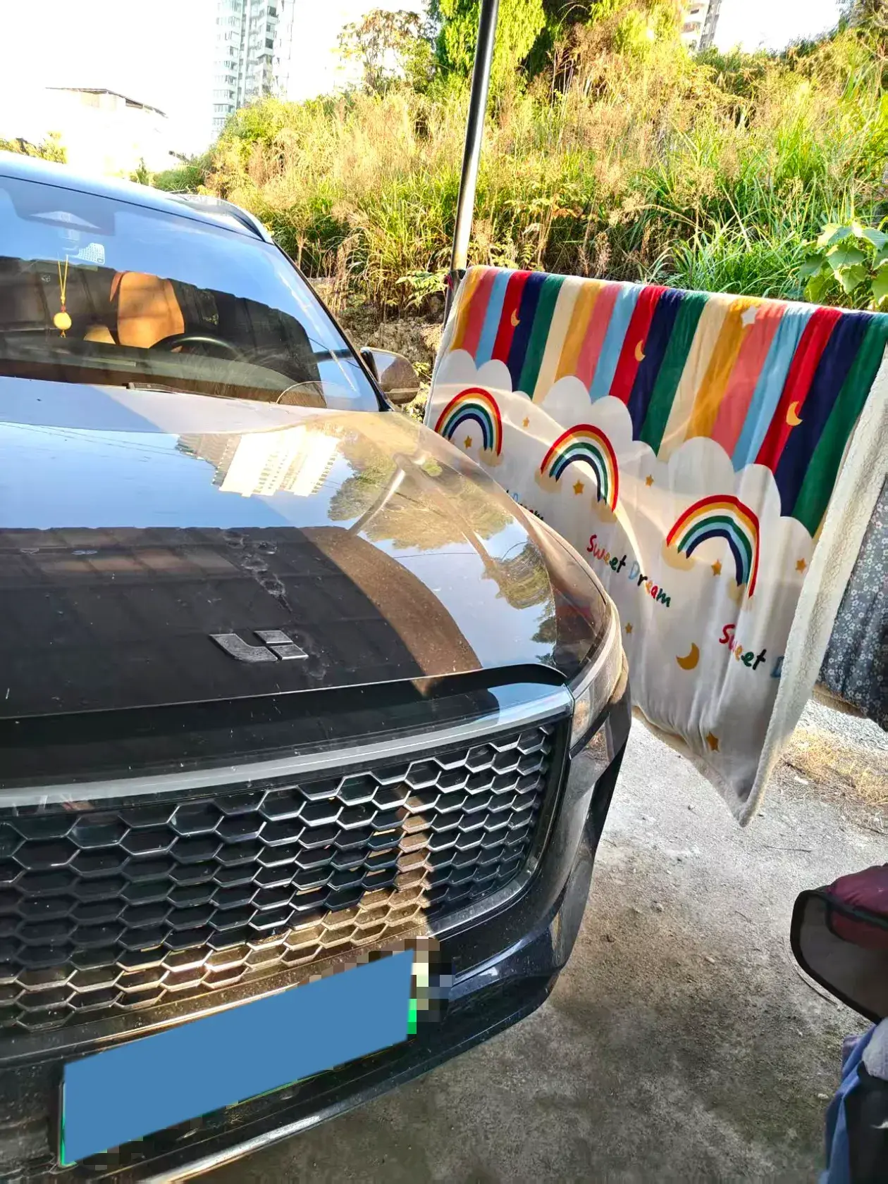 2021 LI ONE thumbnail 3