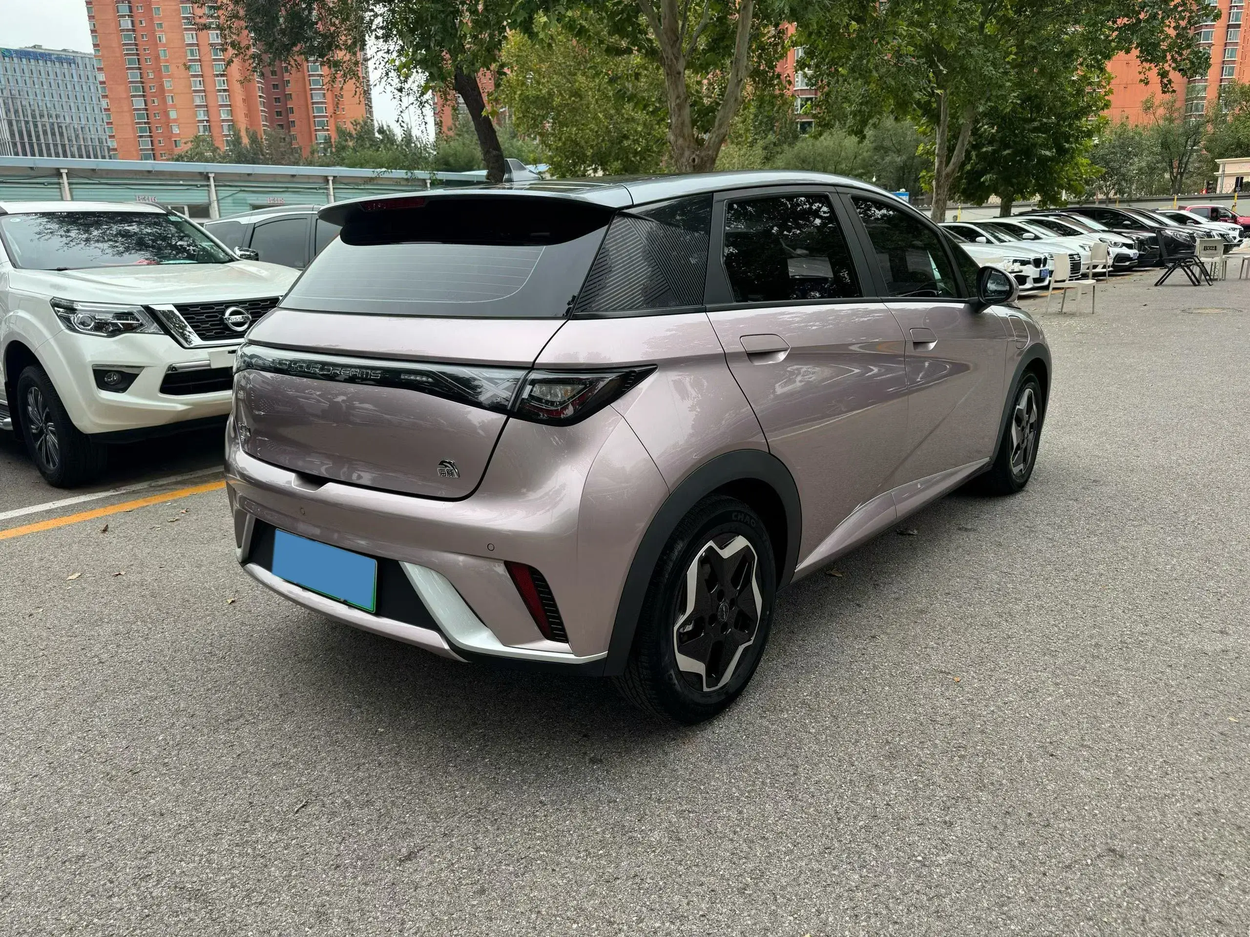 2021 BYD DOLPHIN thumbnail 2