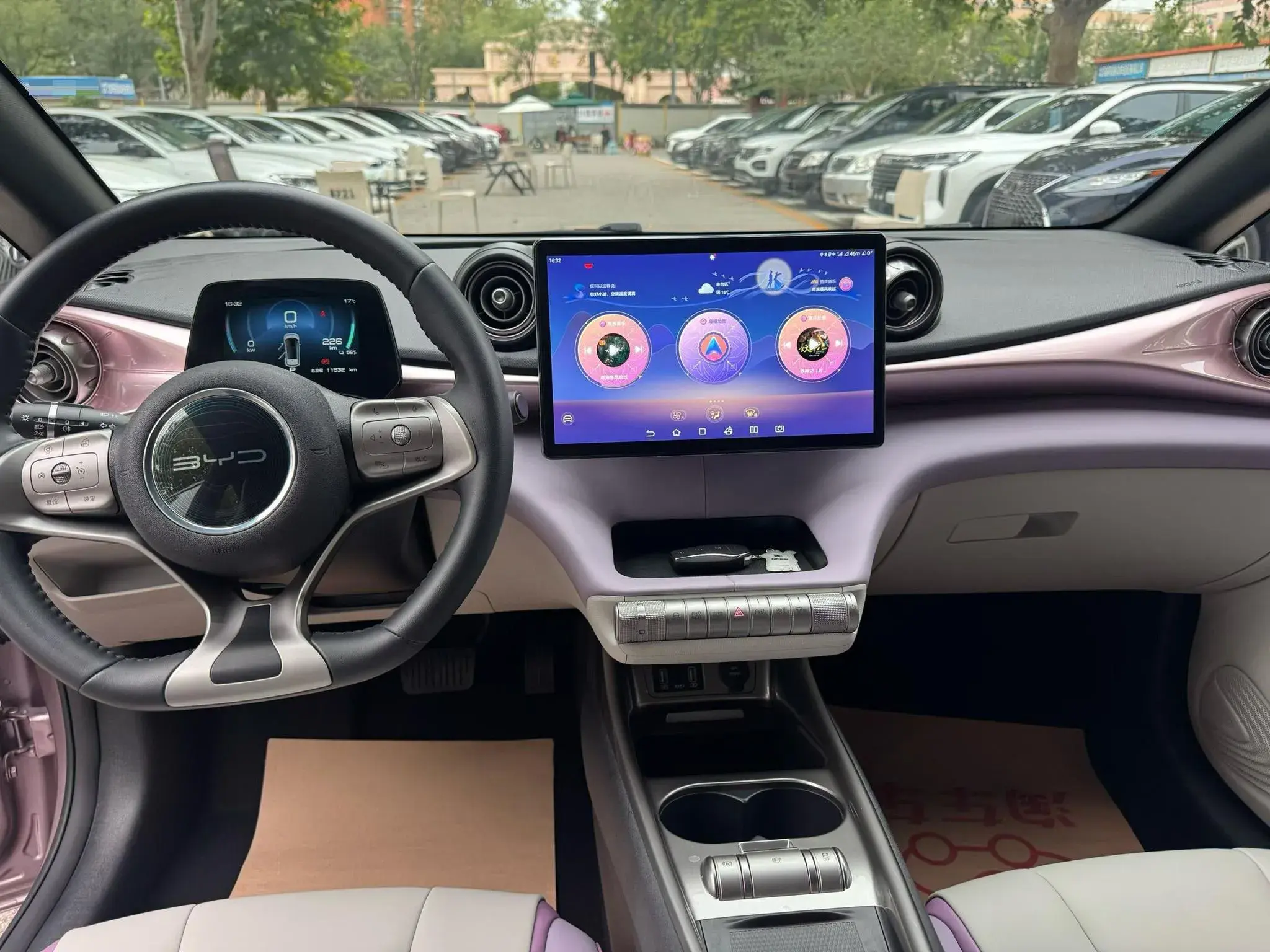 2021 BYD DOLPHIN thumbnail 4