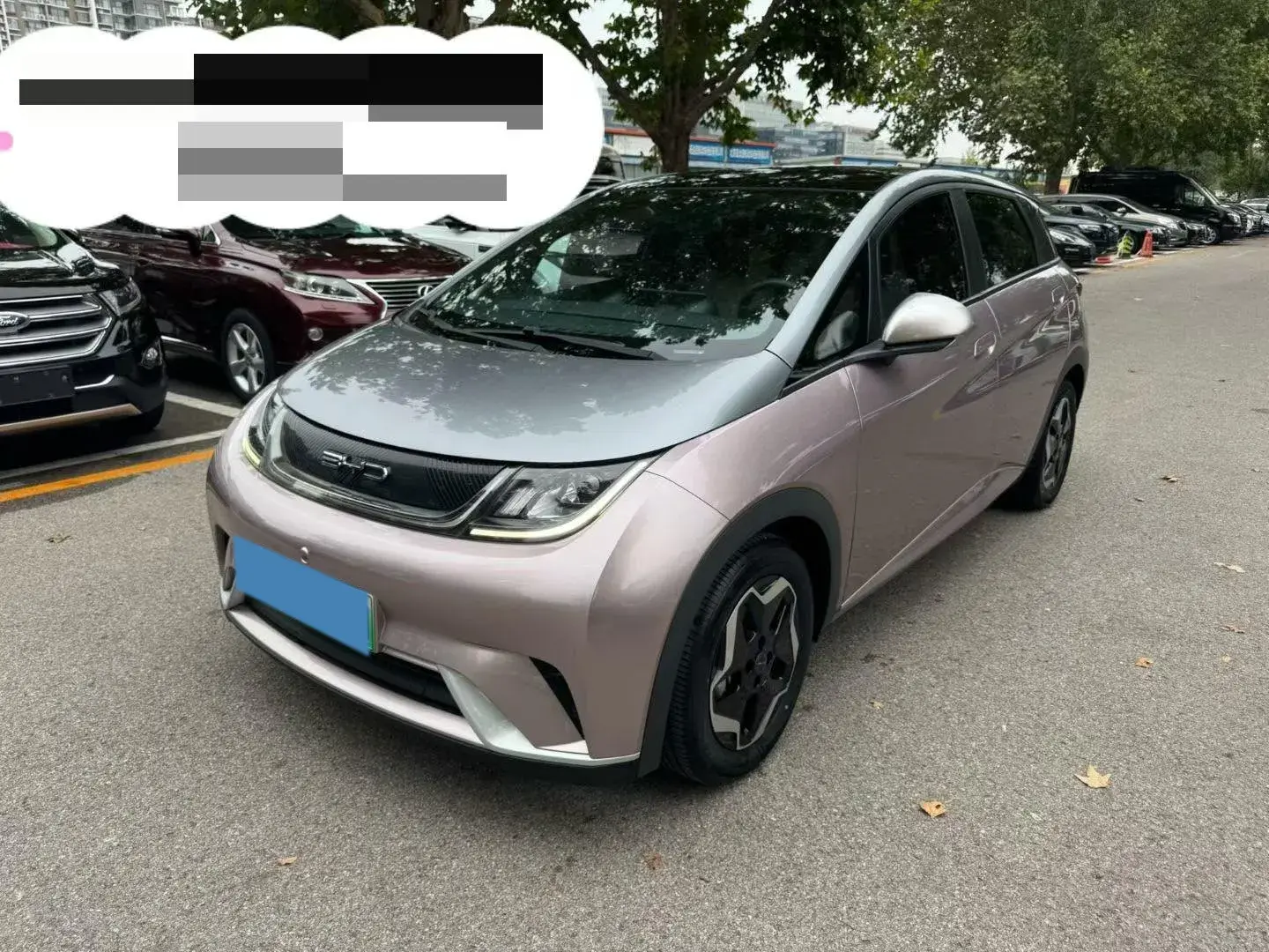 2021 BYD DOLPHIN view 1