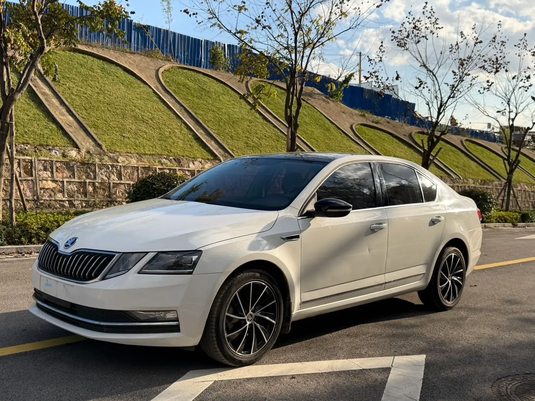 2019 SKODA OCTAVIA view 1