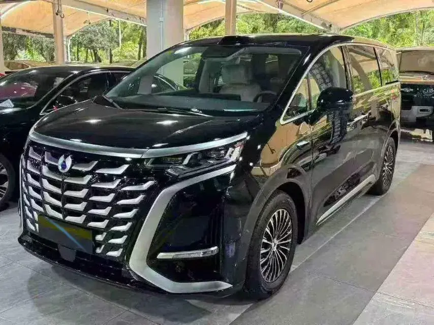 2025 DENZA D9 view 1