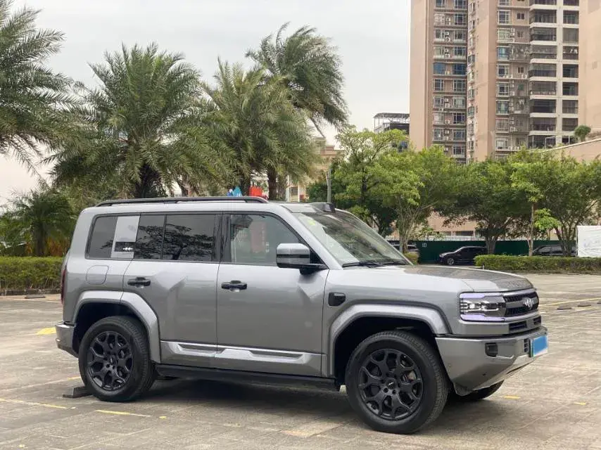 2025 FANGCHENGBAO BAO thumbnail 3