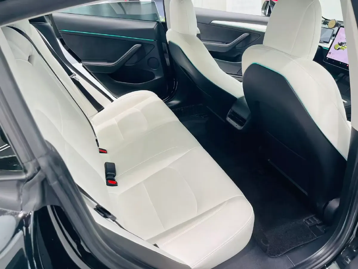 2021 Tesla Model 3 BEV 55KWH,autocango,china used car exporter,china ev exporter,chinese used car exporter,chinese used ev exporter