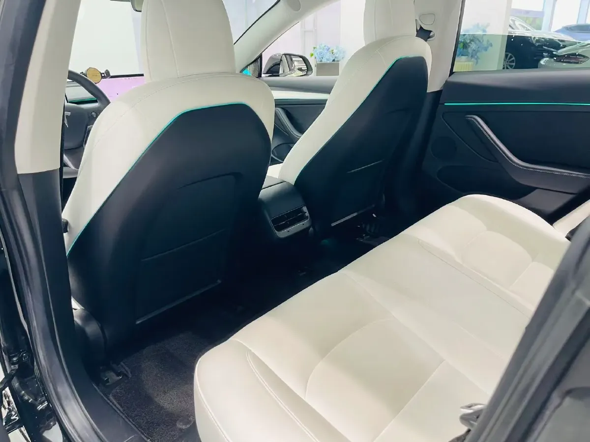 2021 Tesla Model 3 BEV 55KWH,autocango,china used car exporter,china ev exporter,chinese used car exporter,chinese used ev exporter