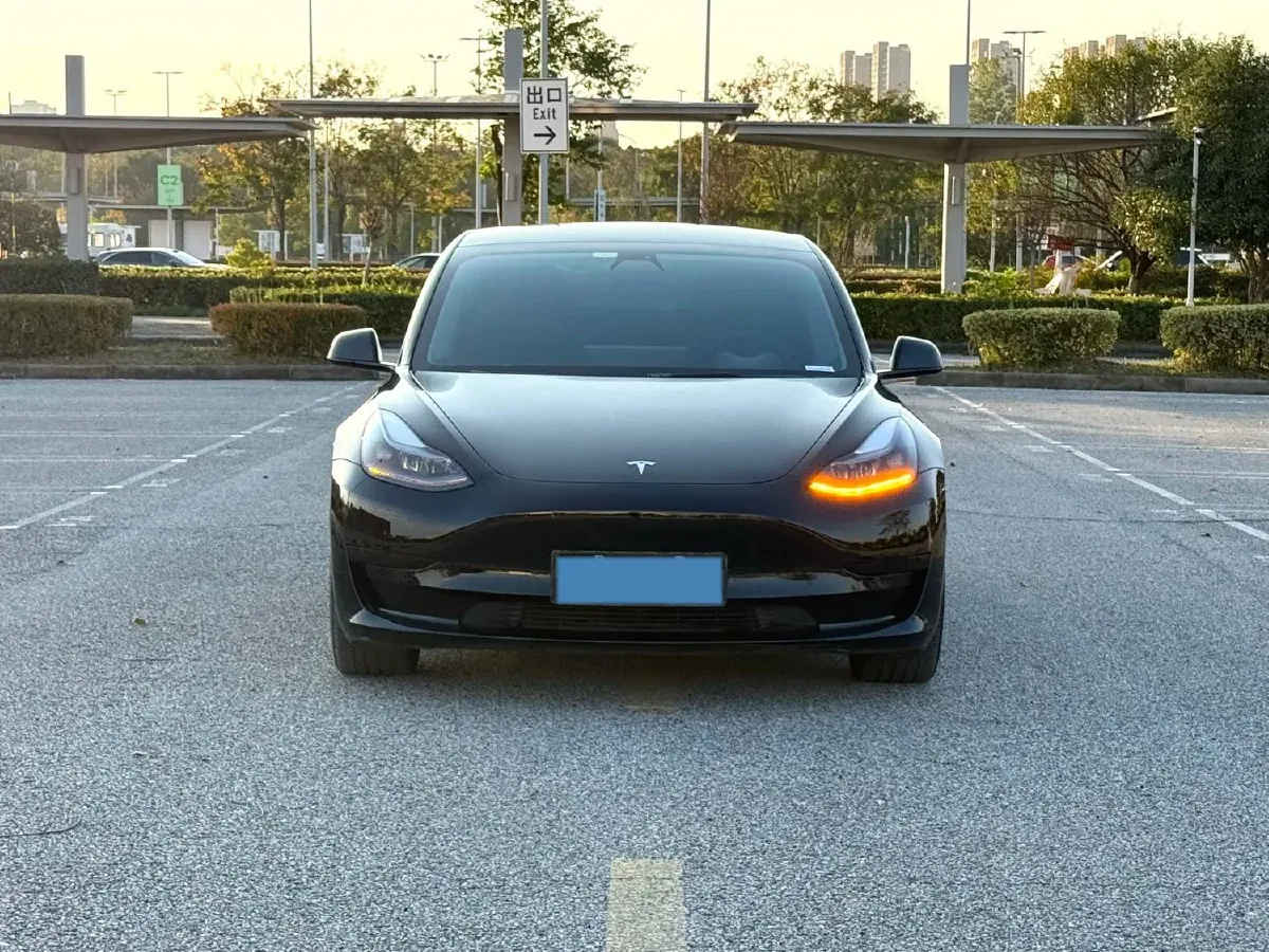 2021 Tesla Model 3 BEV 55KWH,autocango,china used car exporter,china ev exporter,chinese used car exporter,chinese used ev exporter