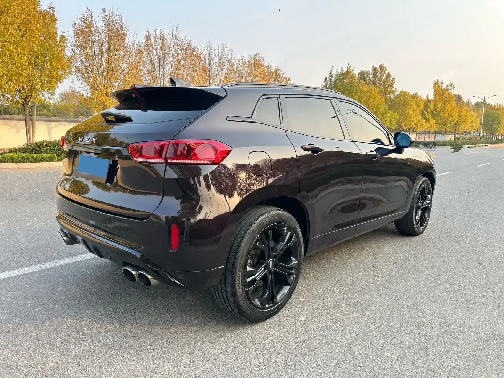 2017 ZOTYE T700 thumbnail 4