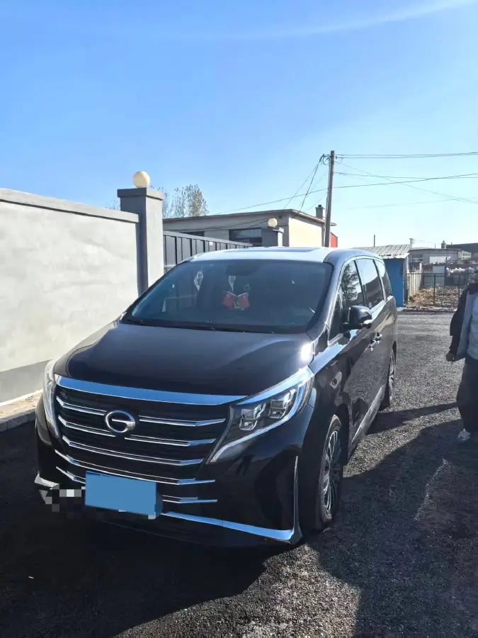 2021 GAC Trumpchi M8 2.0T 252HP L4 8AT