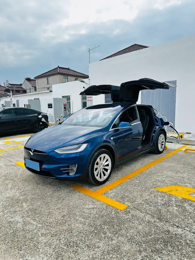 2019 Tesla Model X BEV 75KWH