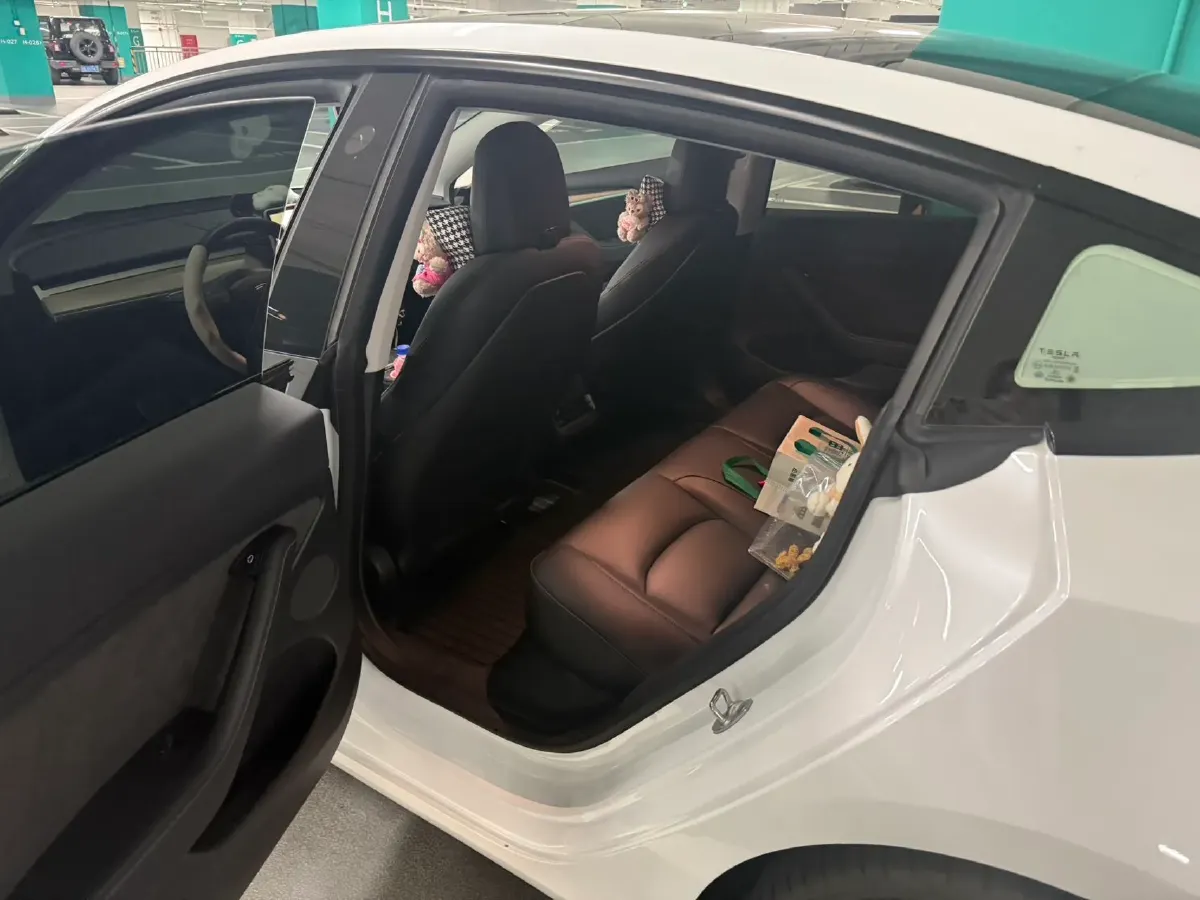 2022 Tesla Model 3 BEV 60KWH,autocango,china used car exporter,china ev exporter,chinese used car exporter,chinese used ev exporter