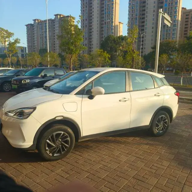 2021 NETA V thumbnail 4