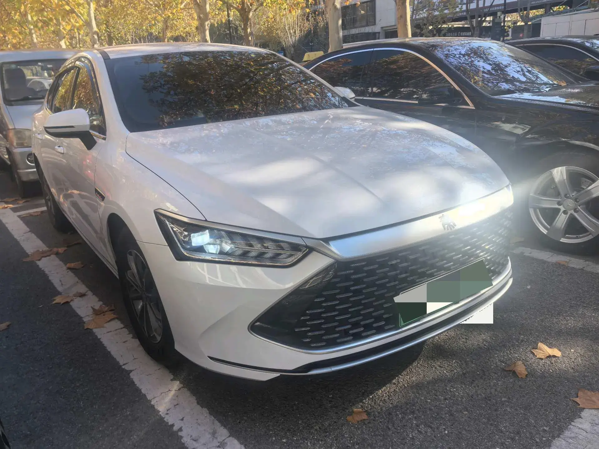 2024 BYD QIN thumbnail 2