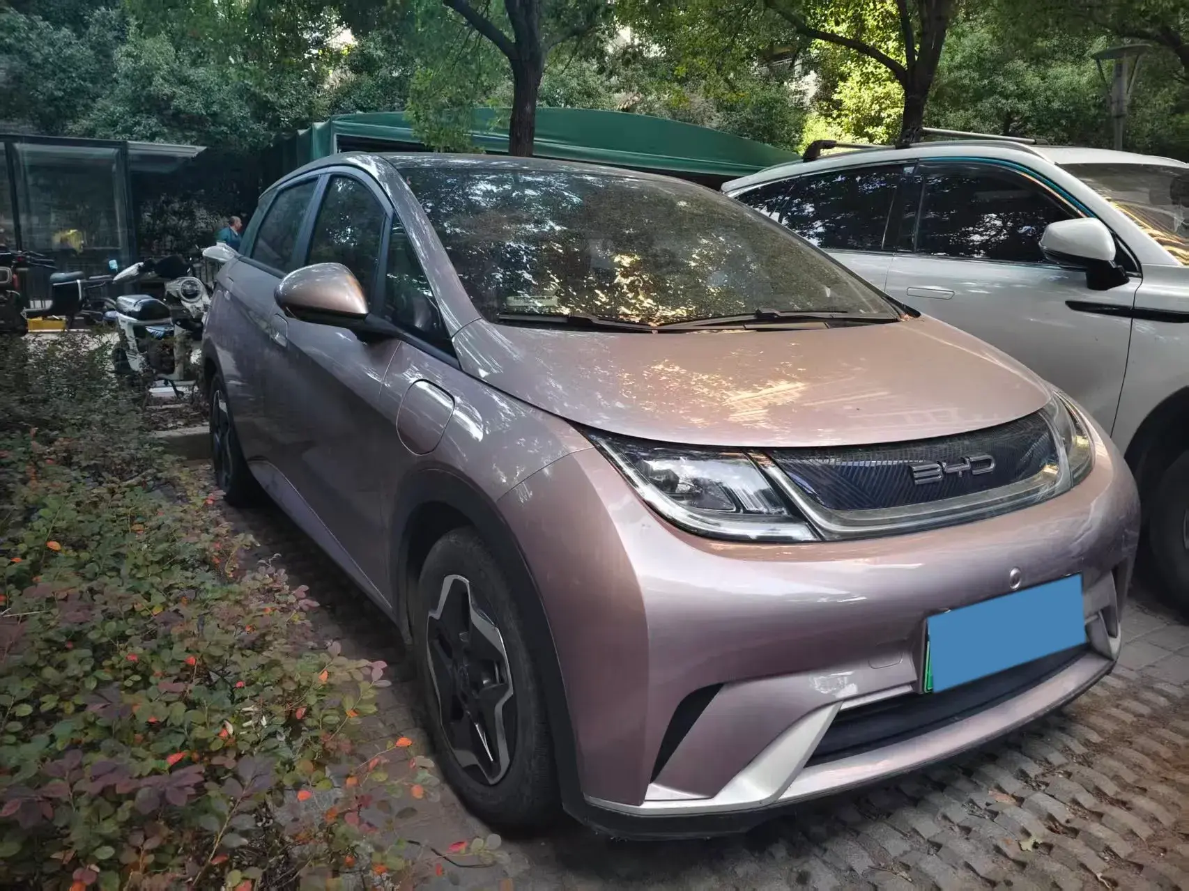 2021 BYD DOLPHIN thumbnail 2