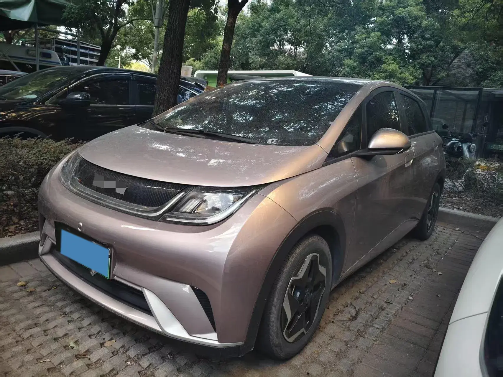 2021 BYD DOLPHIN view 1