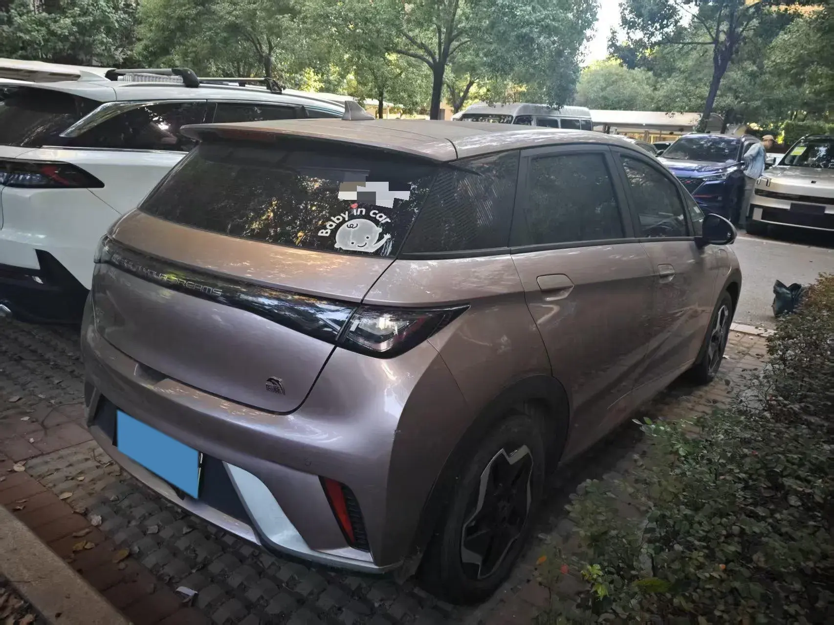 2021 BYD DOLPHIN thumbnail 4