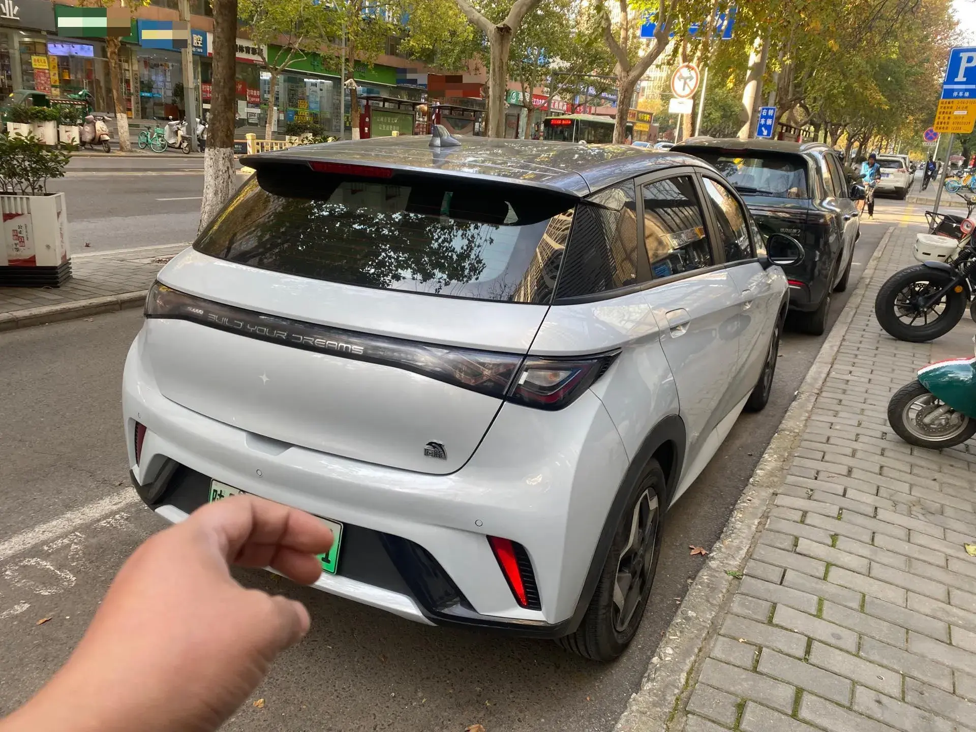 2021 BYD DOLPHIN thumbnail 2