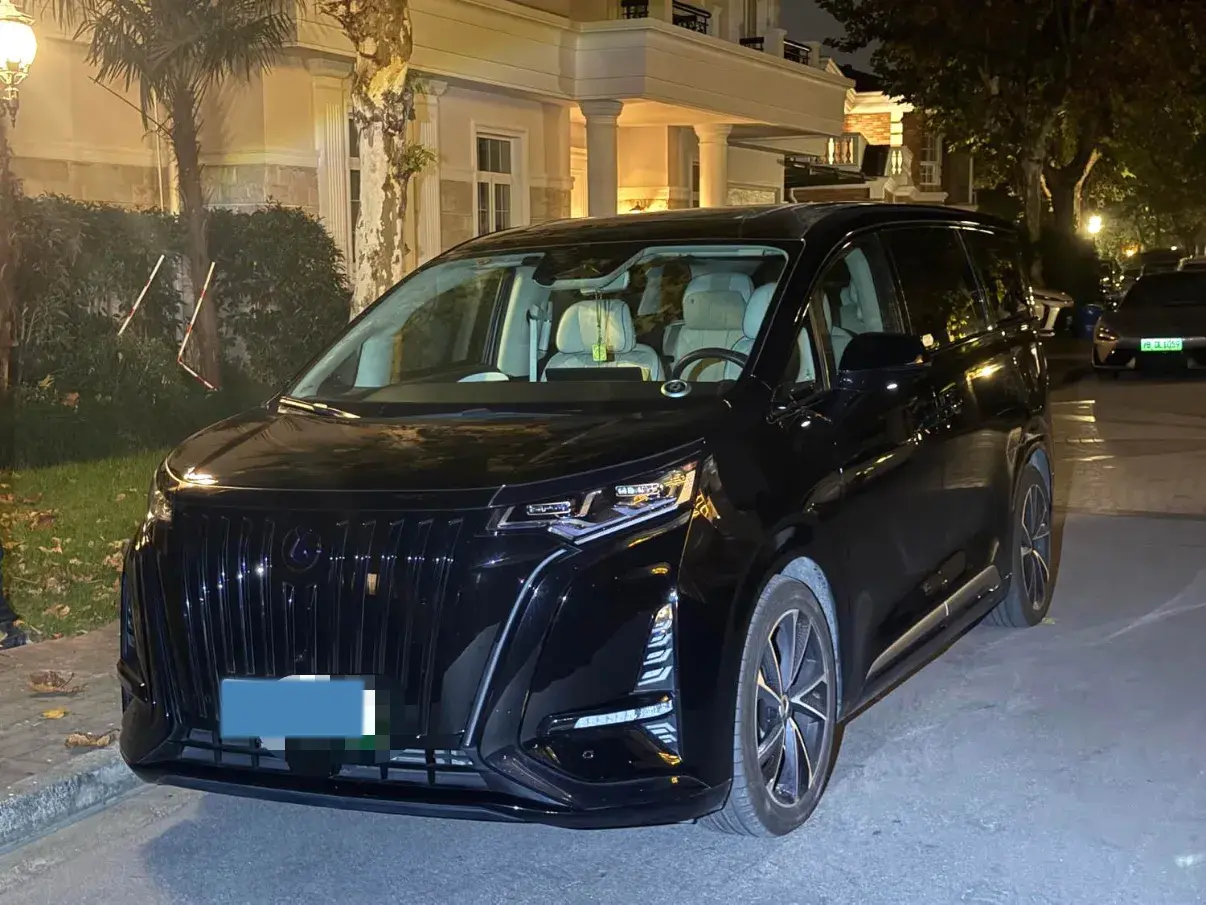 2024 DENZA D9 view 1