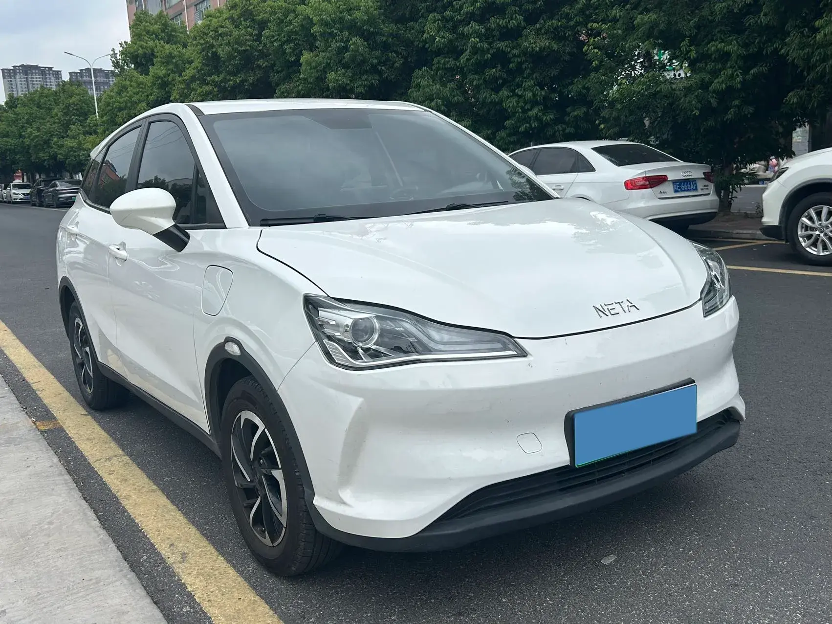 2021 NETA V thumbnail 3